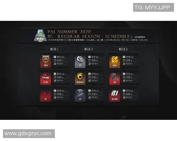 电竞实时数据解析CSGO赛事中WE战队的精彩反击策略与表现分析